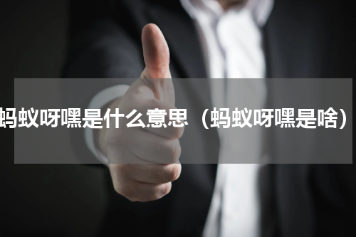 蚂蚁呀嘿是什么意思（蚂蚁呀嘿是啥）