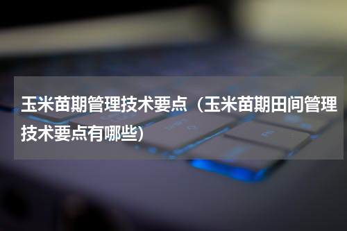 玉米苗期管理技术要点（玉米苗期田间管理技术要点有哪些）