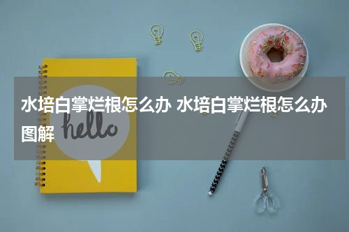 水培白掌烂根怎么办 水培白掌烂根怎么办图解