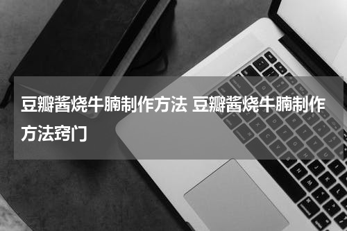 豆瓣酱烧牛腩制作方法 豆瓣酱烧牛腩制作方法窍门
