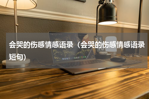 会哭的伤感情感语录（会哭的伤感情感语录短句）