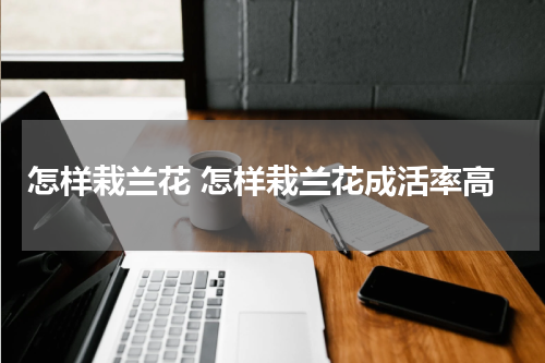 怎样栽兰花 怎样栽兰花成活率高