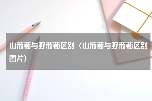 山葡萄与野葡萄区别（山葡萄与野葡萄区别图片）