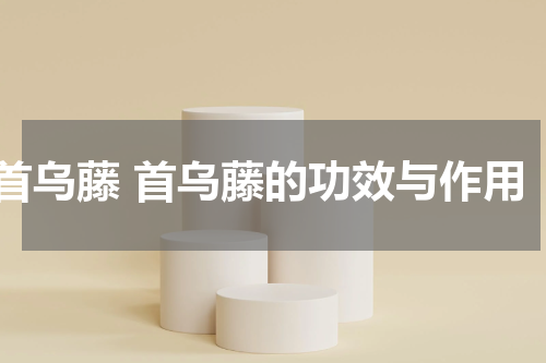首乌藤 首乌藤的功效与作用