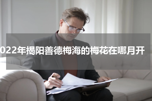 2022年揭阳善德梅海的梅花在哪月开