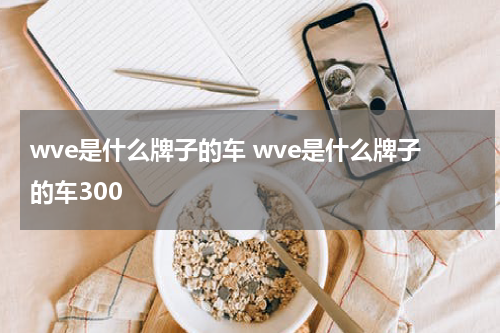 wve是什么牌子的车 wve是什么牌子的车300