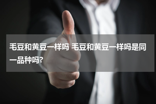 毛豆和黄豆一样吗 毛豆和黄豆一样吗是同一品种吗?