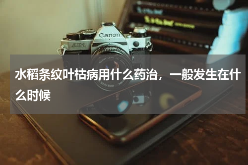 水稻条纹叶枯病用什么药治，一般发生在什么时候