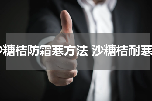 沙糖桔防霜寒方法 沙糖桔耐寒