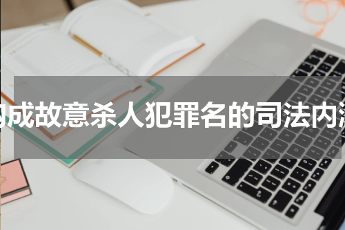构成故意杀人犯罪名的司法内涵