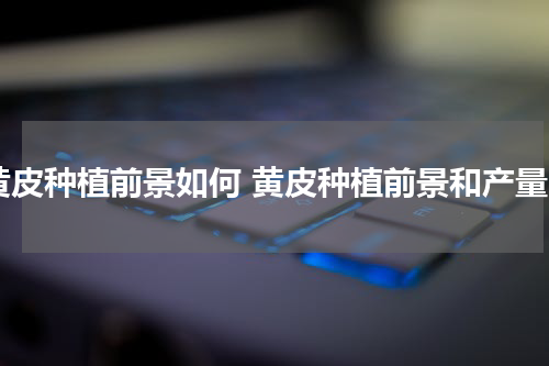 黄皮种植前景如何 黄皮种植前景和产量