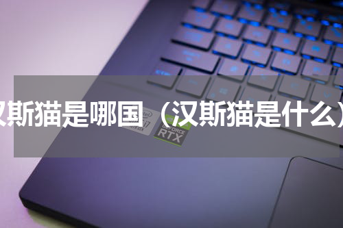 汉斯猫是哪国（汉斯猫是什么）