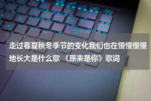 走过春夏秋冬季节的变化我们也在慢慢慢慢地长大是什么歌 《原来是你》歌词