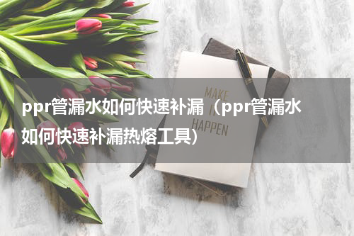 ppr管漏水如何快速补漏（ppr管漏水如何快速补漏热熔工具）