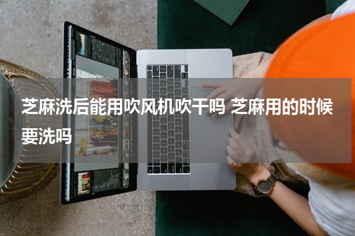 芝麻洗后能用吹风机吹干吗 芝麻用的时候要洗吗