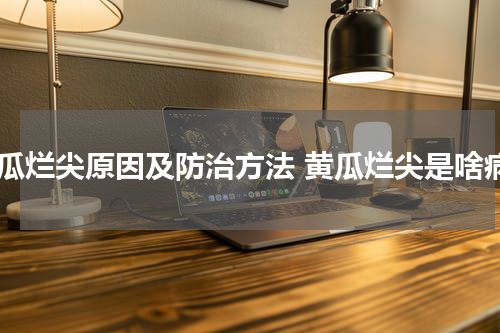 黄瓜烂尖原因及防治方法 黄瓜烂尖是啥病
