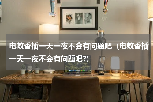 电蚊香插一天一夜不会有问题吧（电蚊香插一天一夜不会有问题吧?）