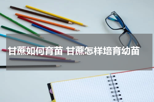 甘蔗如何育苗 甘蔗怎样培育幼苗