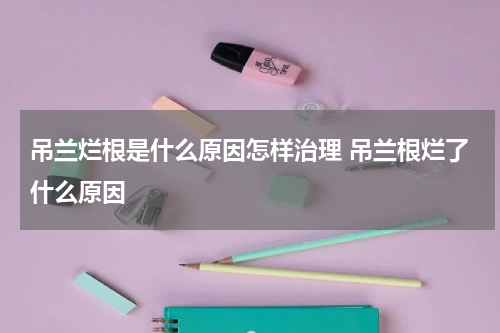 吊兰烂根是什么原因怎样治理 吊兰根烂了什么原因