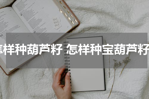怎样种葫芦籽 怎样种宝葫芦籽