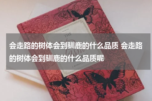 会走路的树体会到驯鹿的什么品质 会走路的树体会到驯鹿的什么品质呢
