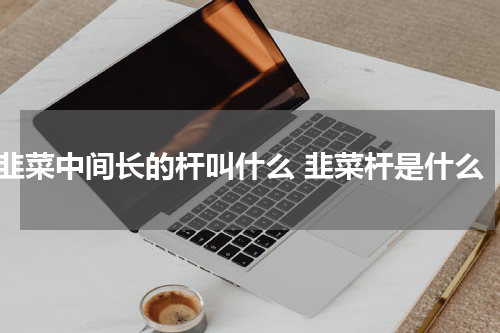 韭菜中间长的杆叫什么 韭菜杆是什么