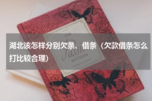 湖北该怎样分别欠条、借条（欠款借条怎么打比较合理）