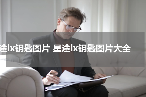 星途lx钥匙图片 星途lx钥匙图片大全