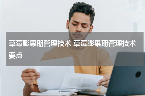 草莓膨果期管理技术 草莓膨果期管理技术要点
