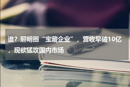 谁？照明圈“宝藏企业”，营收早破10亿，现欲猛攻国内市场