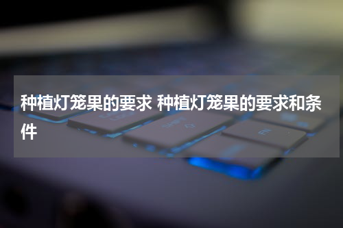 种植灯笼果的要求 种植灯笼果的要求和条件