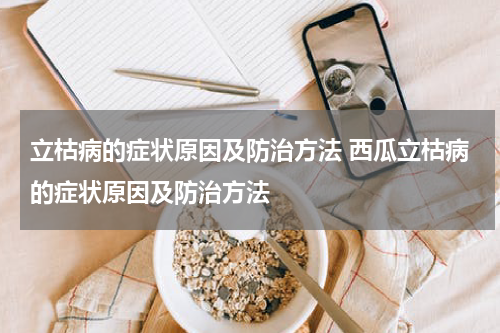 立枯病的症状原因及防治方法 西瓜立枯病的症状原因及防治方法