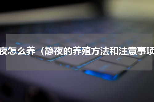 静夜怎么养（静夜的养殖方法和注意事项）