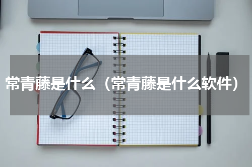 常青藤是什么（常青藤是什么软件）