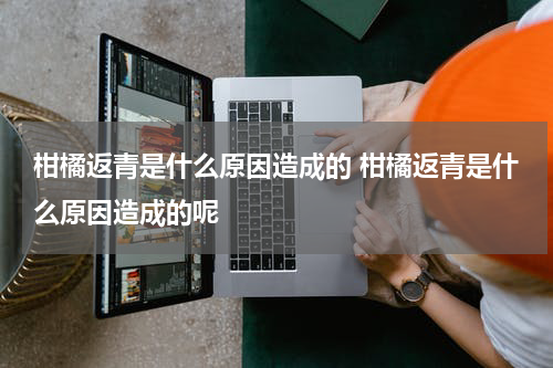 柑橘返青是什么原因造成的 柑橘返青是什么原因造成的呢