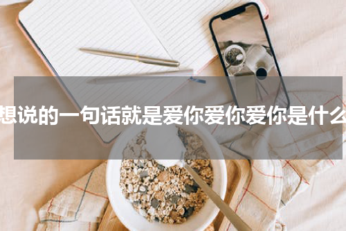 最想说的一句话就是爱你爱你爱你是什么歌