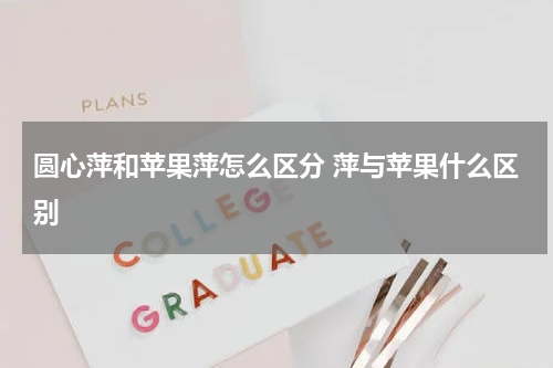 圆心萍和苹果萍怎么区分 萍与苹果什么区别