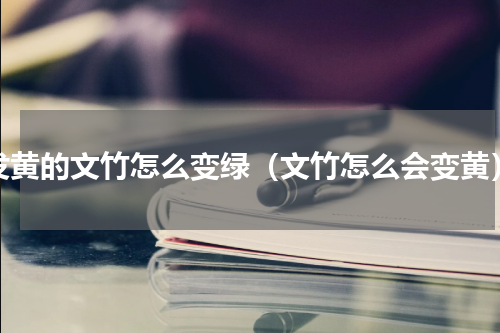发黄的文竹怎么变绿（文竹怎么会变黄）
