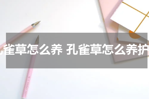 孔雀草怎么养 孔雀草怎么养护