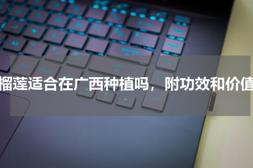榴莲适合在广西种植吗，附功效和价值