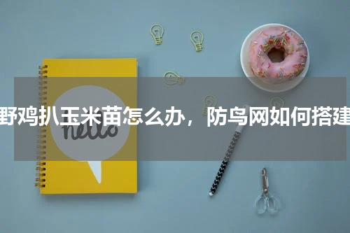 野鸡扒玉米苗怎么办，防鸟网如何搭建