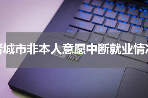 晋城市非本人意愿中断就业情况