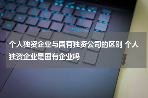 个人独资企业与国有独资公司的区别 个人独资企业是国有企业吗