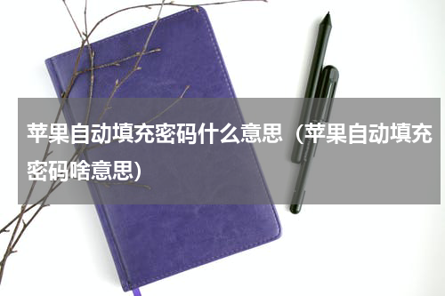 苹果自动填充密码什么意思（苹果自动填充密码啥意思）