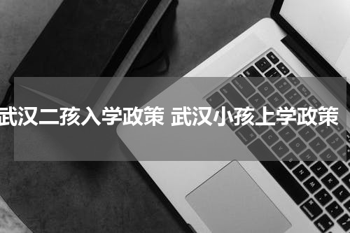 武汉二孩入学政策 武汉小孩上学政策