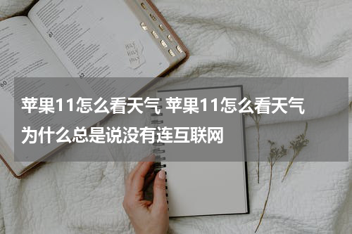 苹果11怎么看天气 苹果11怎么看天气为什么总是说没有连互联网