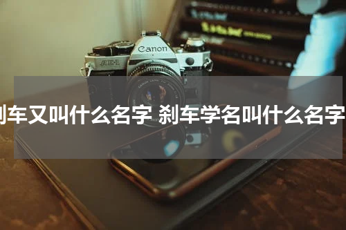 刹车又叫什么名字 刹车学名叫什么名字
