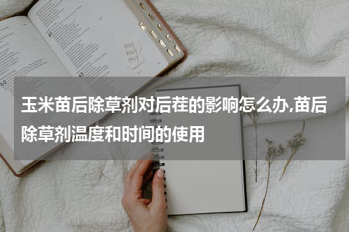 玉米苗后除草剂对后茬的影响怎么办,苗后除草剂温度和时间的使用