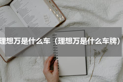 理想万是什么车（理想万是什么车牌）