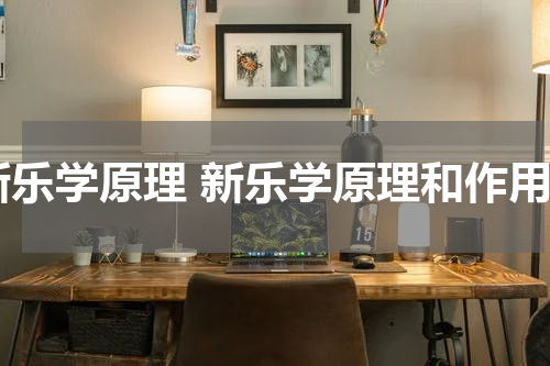 新乐学原理 新乐学原理和作用